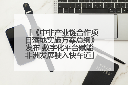 《中非产业链合作项目落地实施方案总纲》发布 数字化平台赋能非洲发展驶入快车道