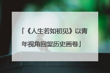 《人生若如初见》以青年视角回望历史画卷