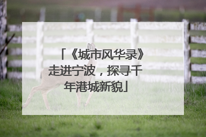 《城市风华录》走进宁波，探寻千年港城新貌