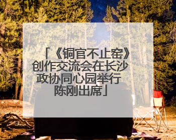 《铜官不止窑》创作交流会在长沙政协同心园举行 陈刚出席