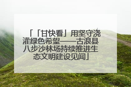 「甘快看」用坚守浇灌绿色希望——古浪县八步沙林场持续推进生态文明建设见闻