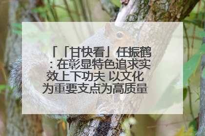 「甘快看」任振鹤：在彰显特色追求实效上下功夫 以文化为重要支点为高质量发展增添动能