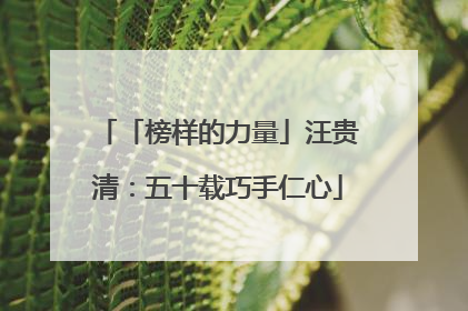 「榜样的力量」汪贵清：五十载巧手仁心