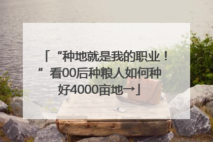 “种地就是我的职业！”看00后种粮人如何种好4000亩地→