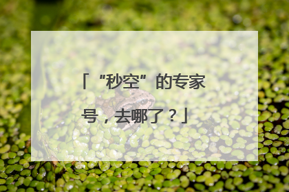 “秒空”的专家号，去哪了？