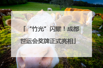 “竹光”闪耀！成都世运会奖牌正式亮相