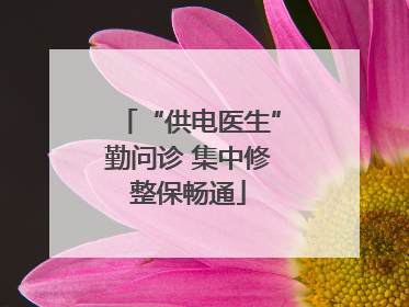 “供电医生”勤问诊 集中修整保畅通