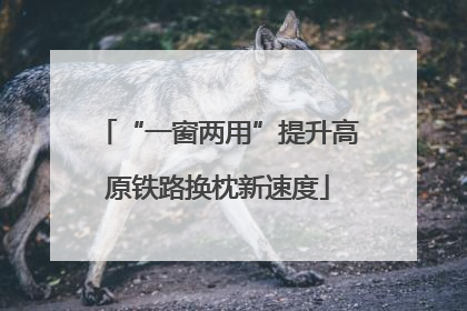 “一窗两用”提升高原铁路换枕新速度
