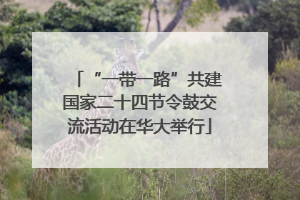 “一带一路”共建国家二十四节令鼓交流活动在华大举行