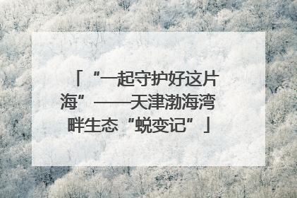 “一起守护好这片海”——天津渤海湾畔生态“蜕变记”