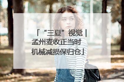 “三夏”视觉｜孟州麦收正当时 机械减损保归仓