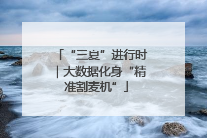 “三夏”进行时｜大数据化身“精准割麦机”