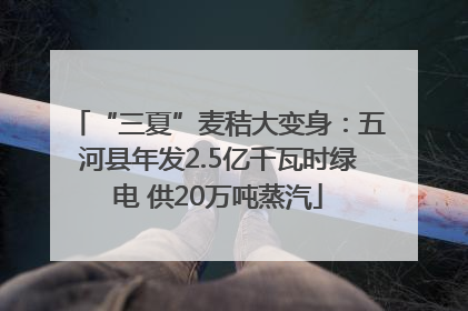 “三夏”麦秸大变身：五河县年发2.5亿千瓦时绿电 供20万吨蒸汽