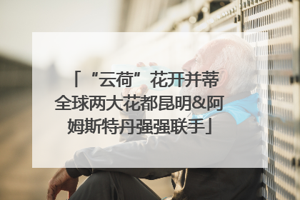 “云荷”花开并蒂 全球两大花都昆明&阿姆斯特丹强强联手