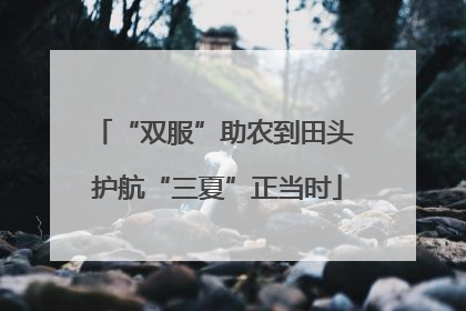 “双服”助农到田头 护航“三夏”正当时