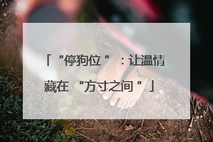 “停狗位 ”：让温情藏在 “方寸之间 ”