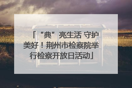 “典”亮生活 守护美好！荆州市检察院举行检察开放日活动
