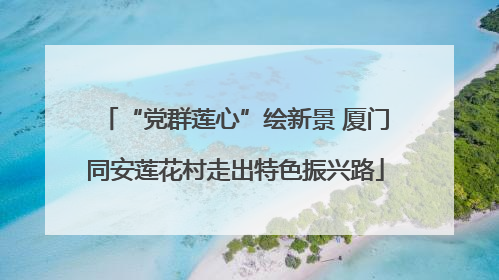 “党群莲心”绘新景 厦门同安莲花村走出特色振兴路