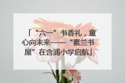 “六一”书香礼，童心向未来——“素兰书屋”在含浦小学启航