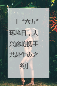 “六五”环境日，大兴廊坊携手共赴生态之约