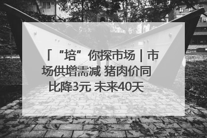 “培”你探市场｜市场供增需减 猪肉价同比降3元 未来40天便宜猪肉敞开吃