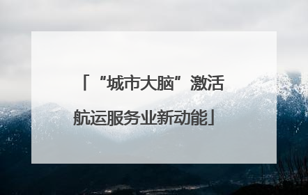 “城市大脑”激活航运服务业新动能