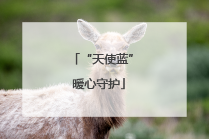 “天使蓝” 暖心守护