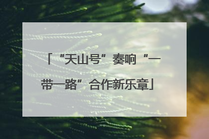 “天山号”奏响“一带一路”合作新乐章
