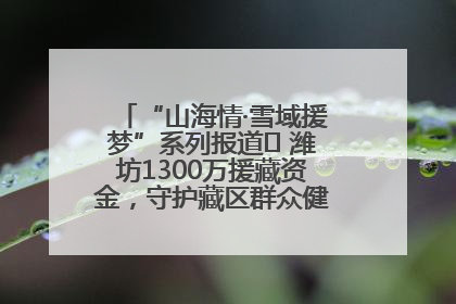 “山海情·雪域援梦”系列报道⑪ 潍坊1300万援藏资金，守护藏区群众健康“最后一公里”