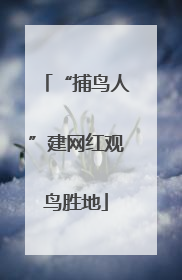 “捕鸟人”建网红观鸟胜地