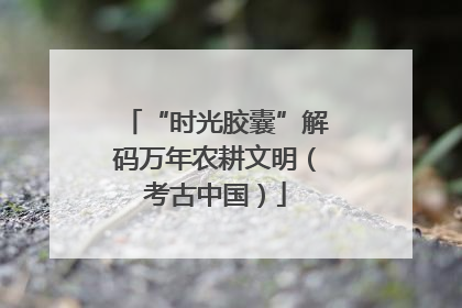 “时光胶囊”解码万年农耕文明（考古中国）