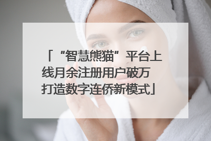 “智慧熊猫”平台上线月余注册用户破万 打造数字连侨新模式