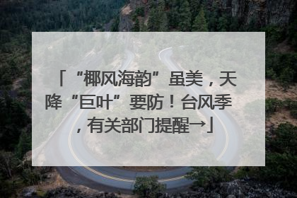 “椰风海韵”虽美，天降“巨叶”要防！台风季，有关部门提醒→