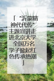 “沂蒙精神代代传”主题宣讲走进北京大学 全国万名学子掀起红色传承热潮