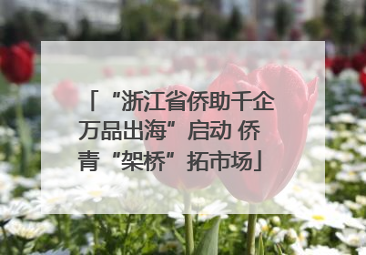 “浙江省侨助千企万品出海”启动 侨青“架桥”拓市场
