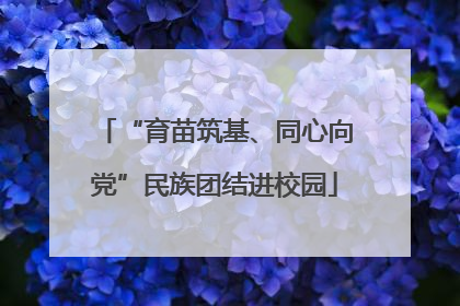 “育苗筑基、同心向党”民族团结进校园