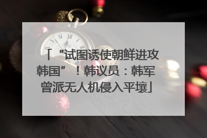 “试图诱使朝鲜进攻韩国”！韩议员：韩军曾派无人机侵入平壤