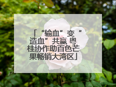 “输血”变“造血”共赢 粤桂协作助百色芒果畅销大湾区