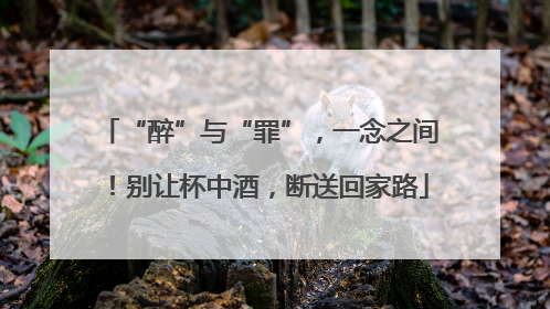 “醉”与“罪”，一念之间！别让杯中酒，断送回家路