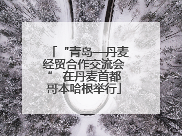 “青岛—丹麦经贸合作交流会” 在丹麦首都哥本哈根举行