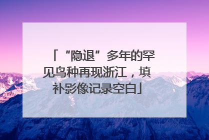“隐退”多年的罕见鸟种再现浙江，填补影像记录空白