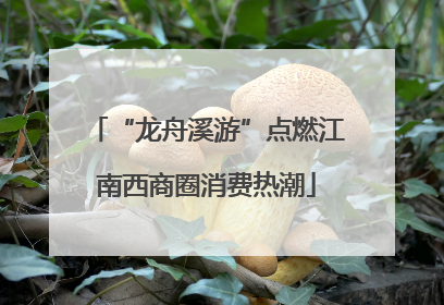 “龙舟溪游”点燃江南西商圈消费热潮