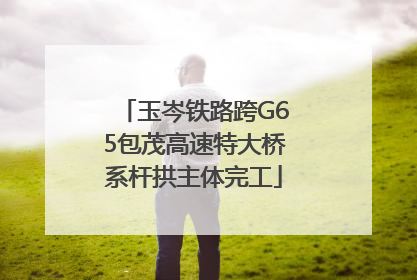 玉岑铁路跨G65包茂高速特大桥系杆拱主体完工