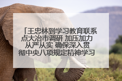 王忠林到学习教育联系点大冶市调研 加压加力 从严从实 确保深入贯彻中央八项规定精神学习教育取得实效