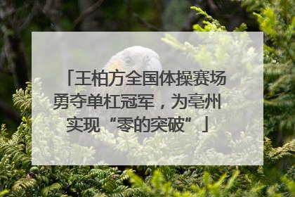 王柏方全国体操赛场勇夺单杠冠军，为亳州实现“零的突破”