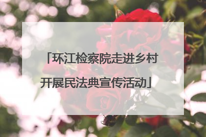 环江检察院走进乡村开展民法典宣传活动