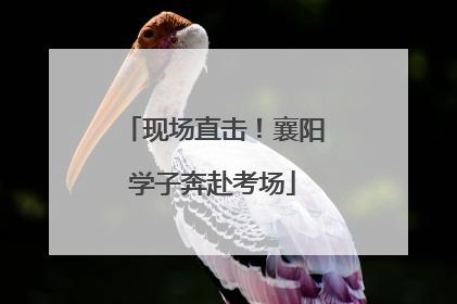 现场直击！襄阳学子奔赴考场