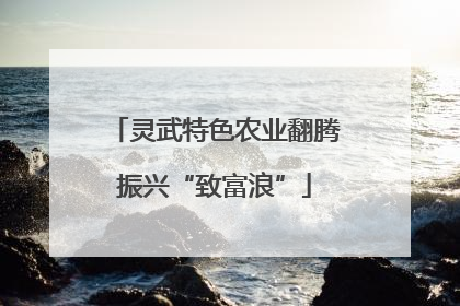 灵武特色农业翻腾振兴“致富浪”