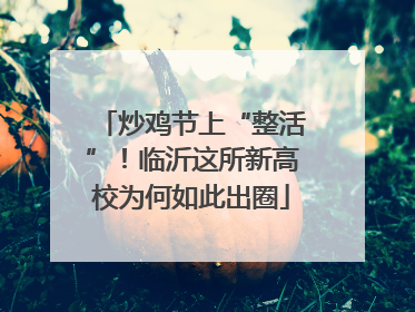 炒鸡节上“整活”！临沂这所新高校为何如此出圈