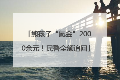 熊孩子“氪金”2000余元！民警全额追回